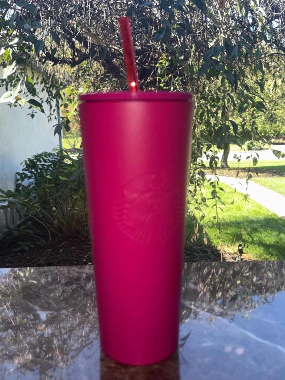 Starbucks Matte Magenta Reusable Tumbler with Matching Straw